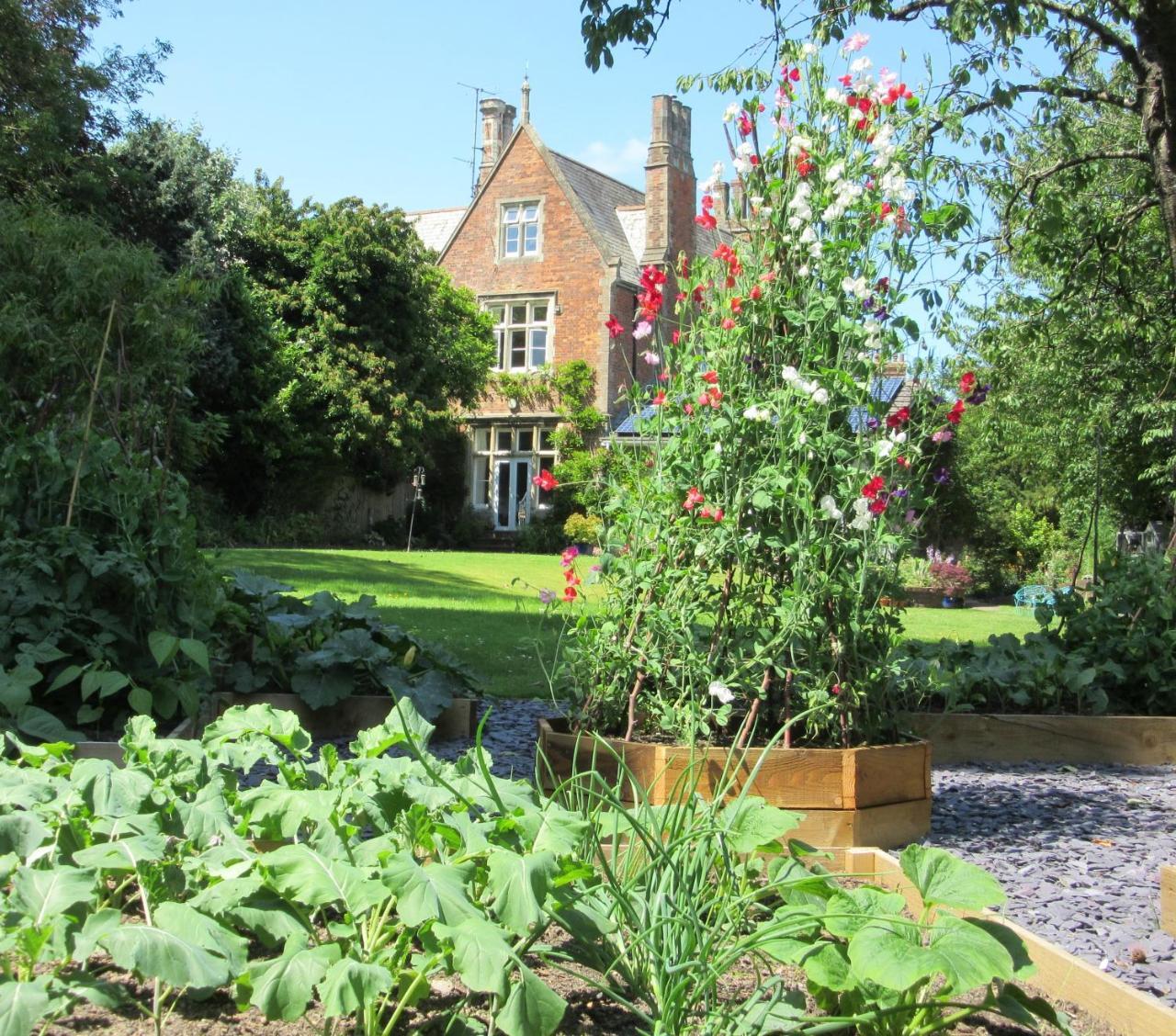 The Old Vicarage B & B Barnstaple Exterior foto